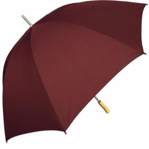 umbrella 60